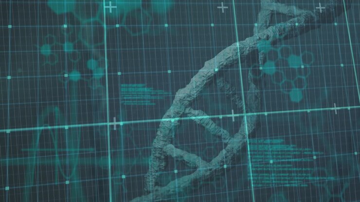 Animation of dna strand spinning and data processing over grid