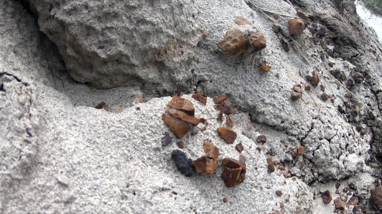 캐나다 앨버타 근처 산의 측면에 있는 갈색 바위