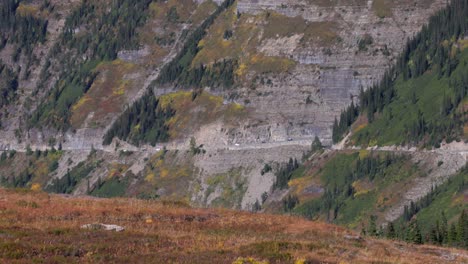 Verkehr-Auf-Dem-Weg-Zur-Sonnenstraße-Blick-Vom-Versteckten-Seeweg-Oben-Auf-Dem-Logan-Pass