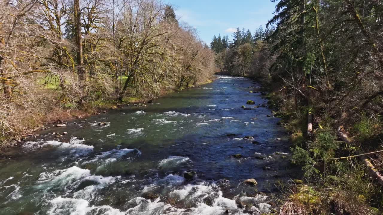 Sol Duc Fluss in Clallam County, Washington – Reißender Fluss, der durch Waldbäume fließt. Drohnenaufnahme.