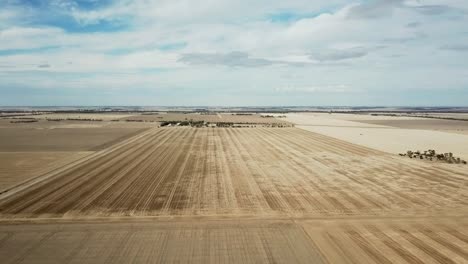 drone footage over dry paddocks after harvest near wedderburn, victoria, australia, may 2021