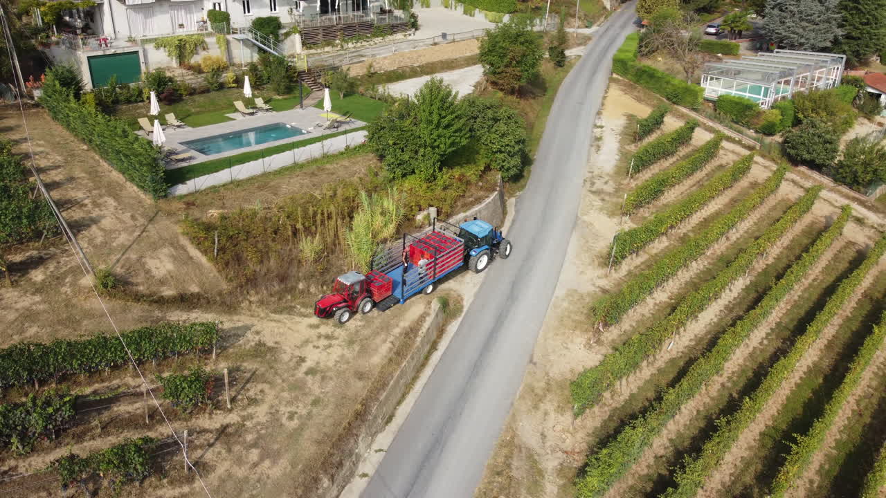 트랙터 기계로 포도원을 수확하는 농부