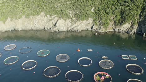 aerialv view of fish farms in the sea.