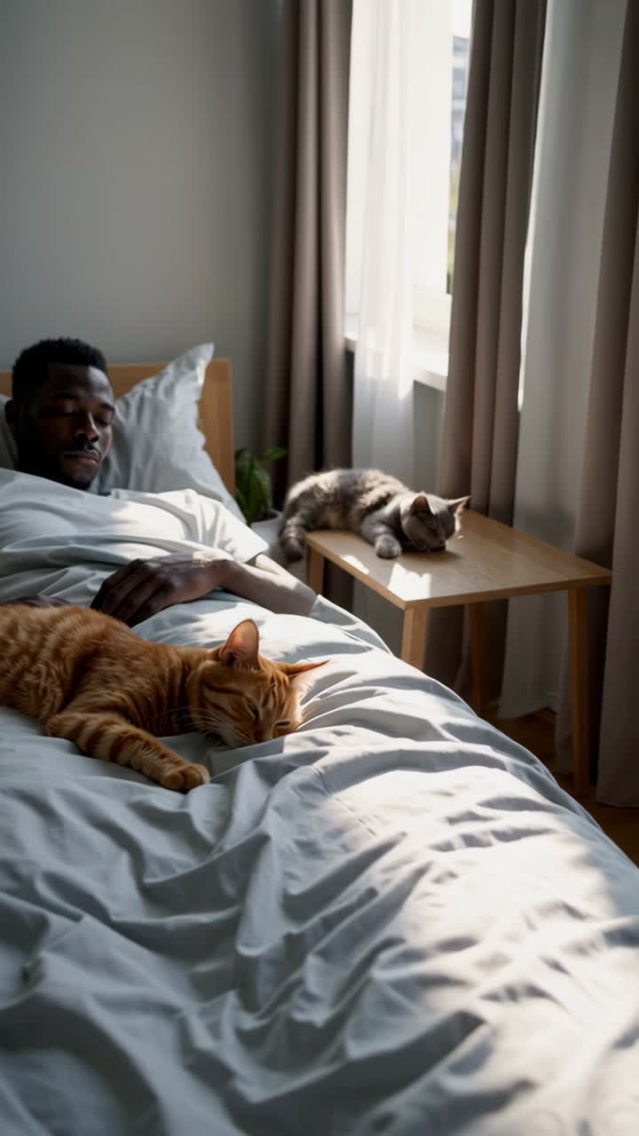 Mand og hans katte sover fredeligt i et solbeskinnet soveværelse