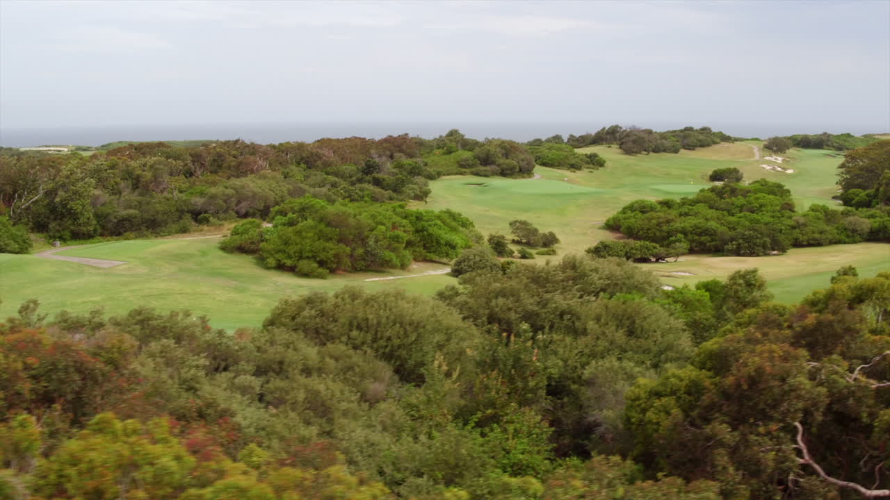 vista aérea del campo de golf junto al mar revelada detrás de los árboles