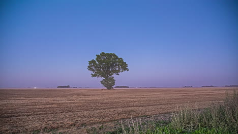 Dämmerungszeitraffer-über-Frisch-Abgeerntetem-Ackerland,-Einem-Baum-Und-Dann-Dem-Aufgehenden-Vollmond