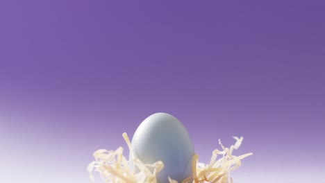 blue easter egg with hay on purple background with copy space