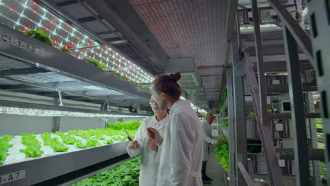 modern scientists are engaged in the development of healthy food production by growing them in vertical automated farms. analysis of data using a laptop and tablet computer