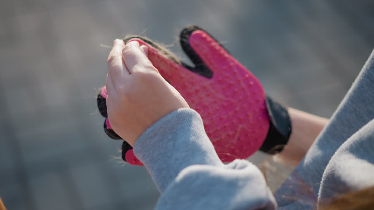 애완동물 미용 세부 묘사, 미용 장갑에서 손으로 털을 떼어내는 모습, 텍스처 브러시와 손 움직임이 있는 동물 관리 장면, 애완동물 미용 장갑과 텍스처 강모를 이용한 섬세한 세척 동작