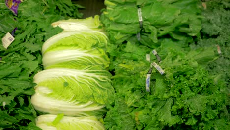 4k salat grünen schieber schuss markt frische lebensmittelgeschäft produzieren gesundheit gesund loses gewicht fett