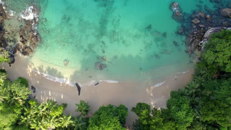 Drone-footage-of-white-sandy-beach,-coconut-palm-trees,-turquoise-water,-granite-stones-and-man-walking-on-the-beach,-Mahe-Seychelles-30fps