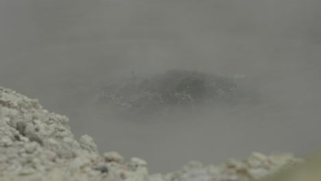 boiling hot geothermal volcanic mud pool, closeup shot steamy lake bubbling mud and steam