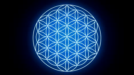 the flower of life forming sacred geometry symbol