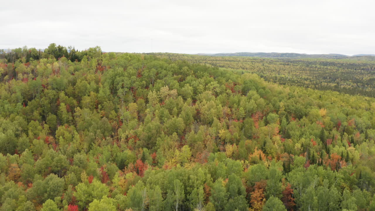 antena de volar sobre un hermoso bosque, revelando detrás de la montaña, en colores de otoño en octubre, en un paisaje rural, en charlevoix, quebec, canadá