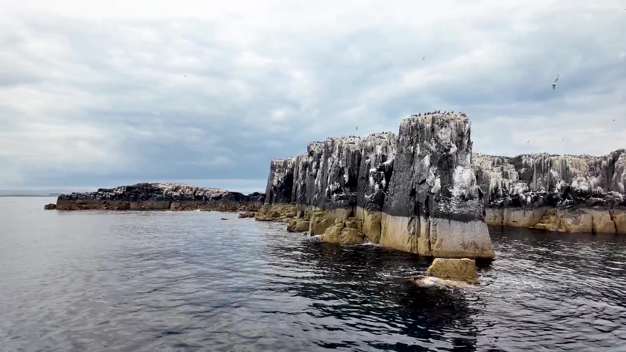 Skalnaté pobřeží Farne Islands, slavná ptačí rezervace a útočiště divoké zvěře v Northumberlandu.