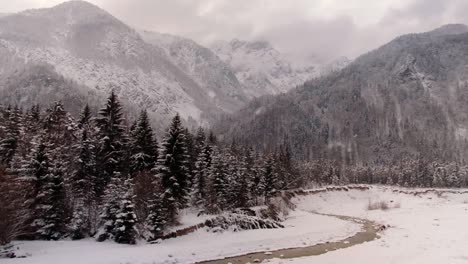 Zelenci-Quellen-An-Einem-Sehr-Kalten-Wintertag