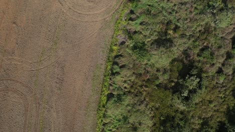Plowed-farmland-next-to-the-Brazilian-savannah-where-deforestation-is-destroying-the-rainforest---straight-down-aerial-view