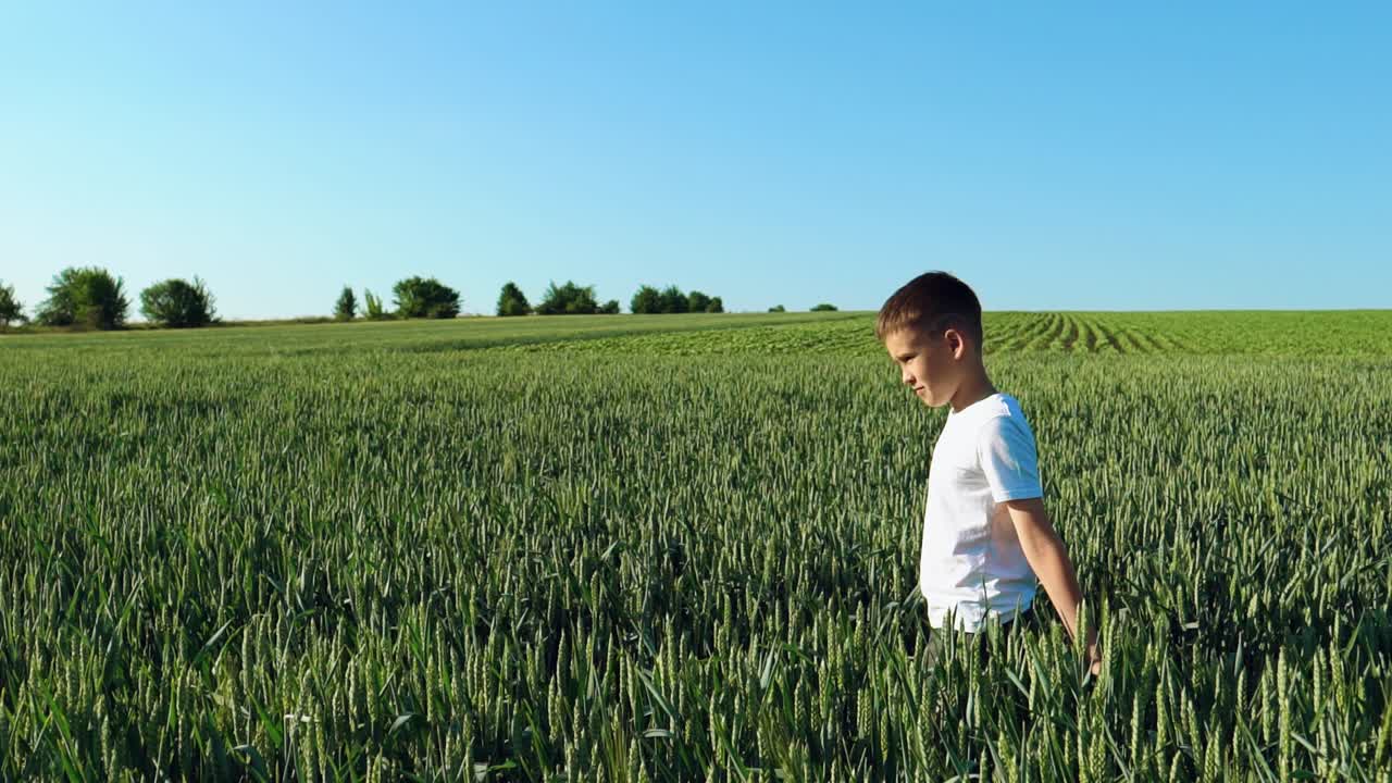Boy is running in the field. Slow motion
