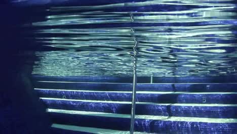 piscina submarina 01