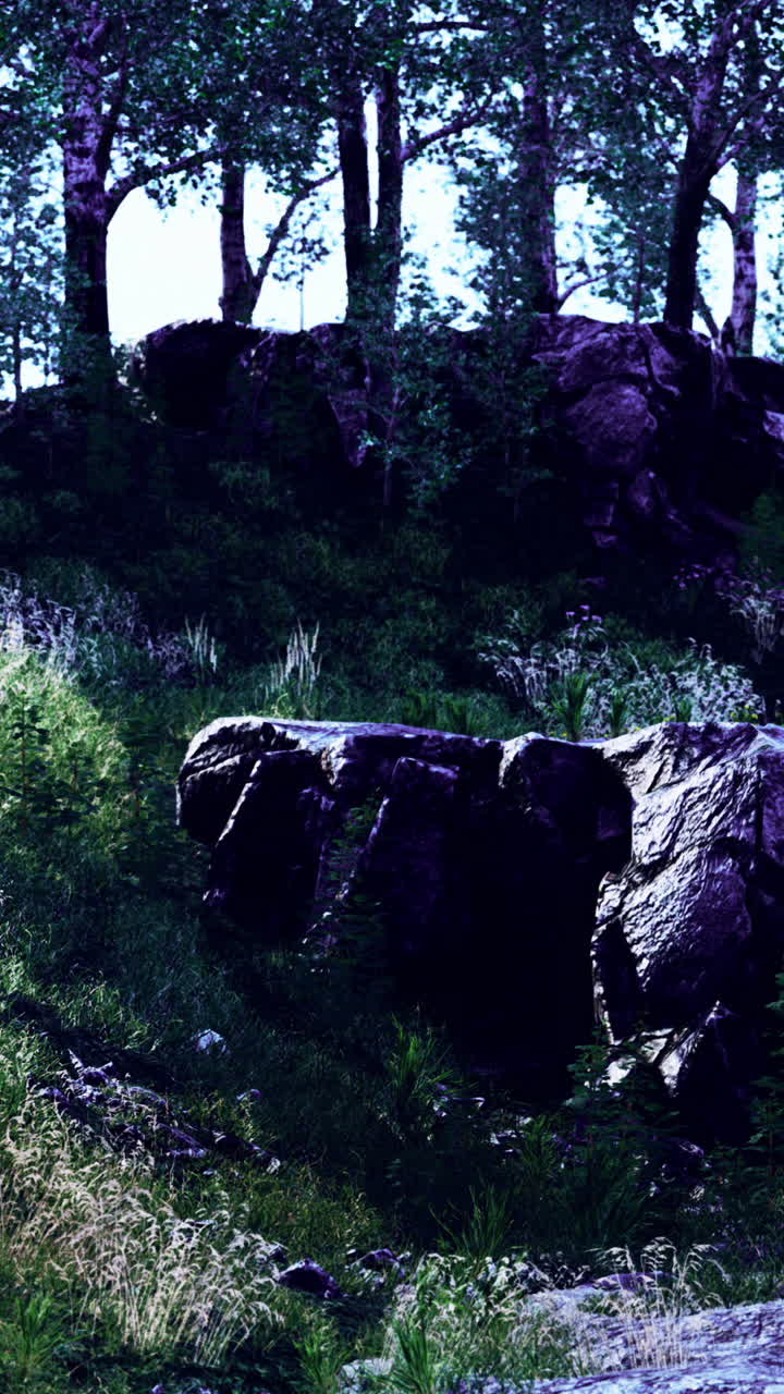 un camino iluminado por el sol a través de un bosque