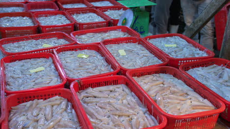 Puerto-Pesquero-De-Tho-Quang-Temprano-En-La-Mañana-Con-Exhibición-De-Pescado-Tropical-Fresco-A-La-Venta-En-Bandeja-De-Plástico,-Vietnam