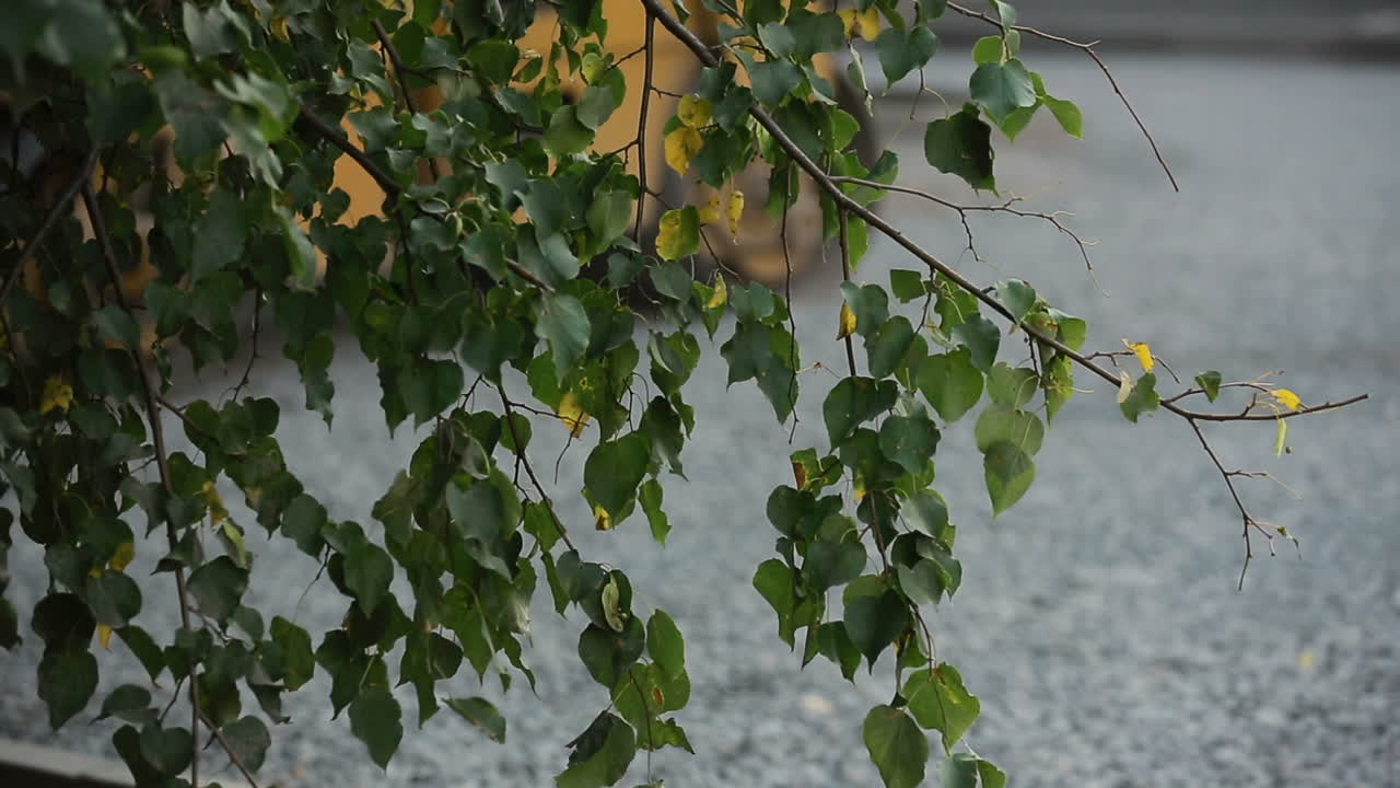 Road roller working on the new road construction site