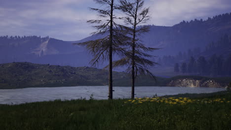 Calm lake surrounded by trees and mountains under a twilight sky