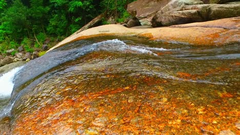 tropical forest with telaga tujuh waterfall in langkawi, kedah, malaysia