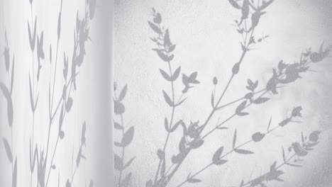 wall corner with grey background and shade of plant tree nature moving by gentle breeze rendering animation display products e-commerce online shop sale discount