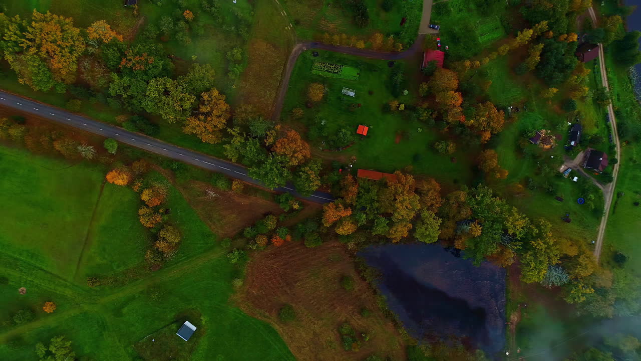 호수 근처의 가을 다채로운 숲을 위에서 내려다보는 드론 비디오