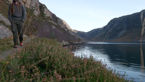 a man is hiking away towards a camera in the scottish highlands with a mountain cliffs and a sea loch in the background while heather and grass gently blows in the wind in the foreground