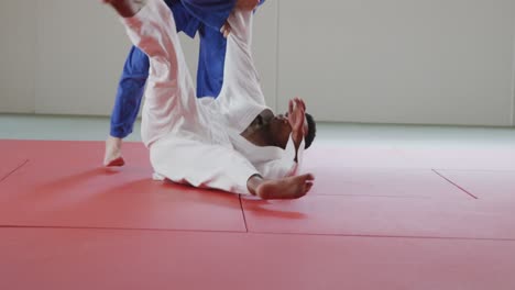 judokas training by doing a randori on the judo mat