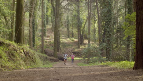 man and woman running uphill in forest