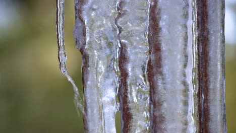 Extreme-Nahaufnahme-Einer-Gruppe-Hängender-Eiszapfen-Auf-Der-Terrasse-Eines-Hauses,-Während-Das-Wasser-Schmilzt,-über-Das-Eis-Läuft-Und-Von-Den-Spitzen-Tropft