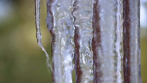 un primerísimo plano de un grupo de carámbanos colgantes en la cubierta de una casa con agua derritiéndose y corriendo por el hielo y goteando de los puntos