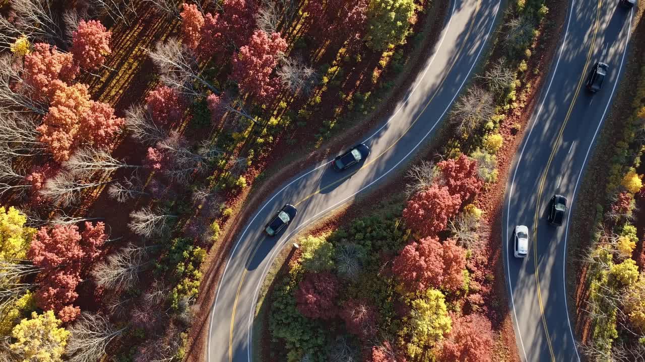 Aerial view of a winding road through vibrant autumn foliage, showcasing a scenic drive