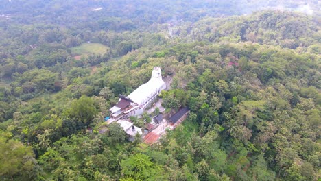 aerial view of unique chicken shaped church in the middle of forest