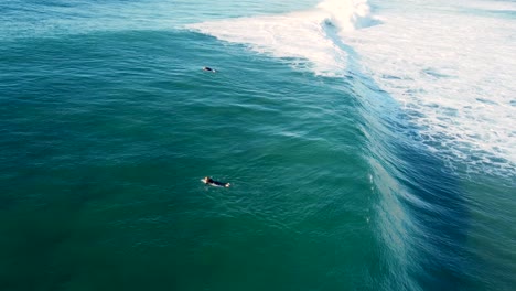drone aerial shot of surfboard riders paddling out in ocean swell waves clear day the entrance central coast nsw australia 4k