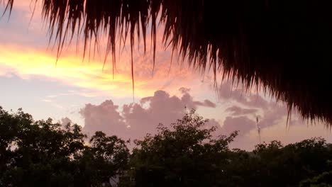 Wunderschöner-Sonnenuntergang-Zwischen-Den-Bäumen-Und-Aufregende-Farben-Am-Horizont,-Wunderschöner-Himmel-Mit-Vielen-Farben
