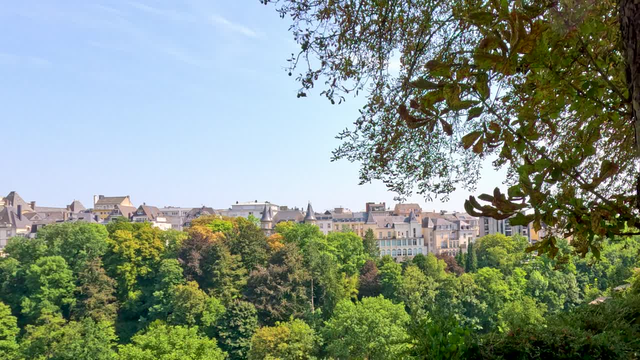 Camera pans past a large tree trunk, unveiling a sunlit cityscape of Luxembourg above a lush, green park on a clear summer day