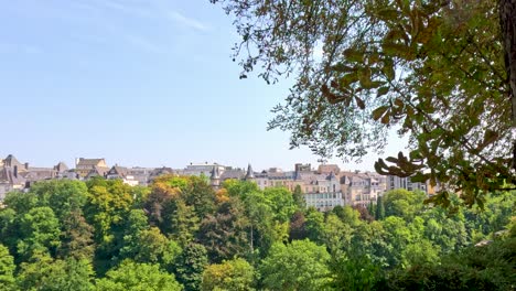 camera pans past a large tree trunk, unveiling a sunlit cityscape of luxembourg above a lush, green park on a clear summer day