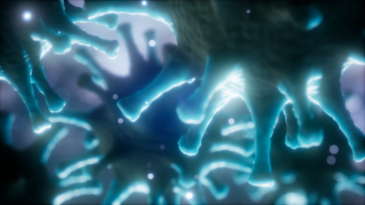 코로나 바이러스 ncov 호흡기 바이러스 개념