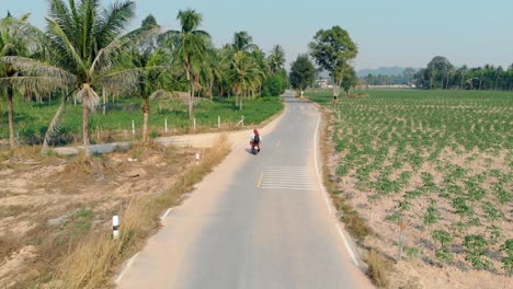 guy and girl ride blue motorbike past green palm forest