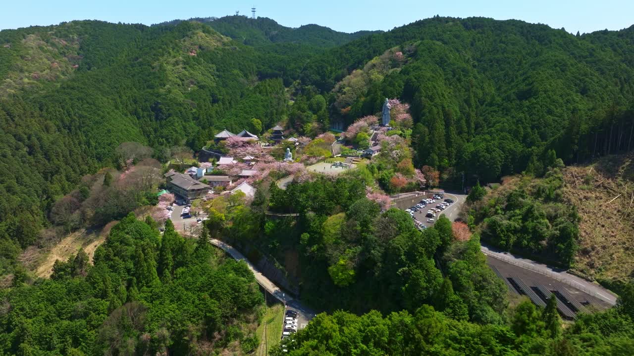 Aerial drone reveals Buddha statue in Tsubosaka-dera Temple, Japan, cherry blossom pink landscape