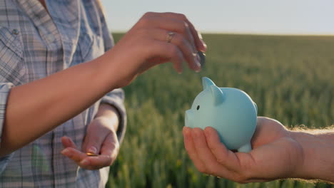 family budget - a woman puts coins in a piggy bank held by a man against the background of a field of wheat. investment and agriculture