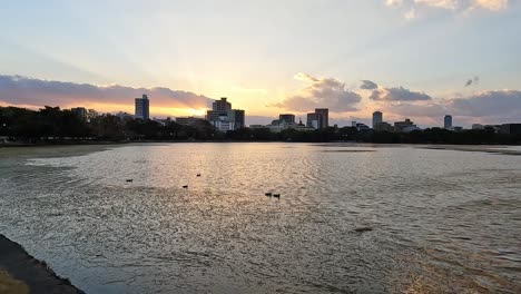 Hermosa-Puesta-De-Sol-Sobre-Fukuoka-Japón,-Con-El-Horizonte-Y-El-Tranquilo-Lago-Del-Parque-Ohori