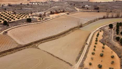 people hiking in mosaic of crops