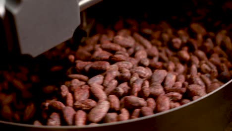 cocoa beans processing