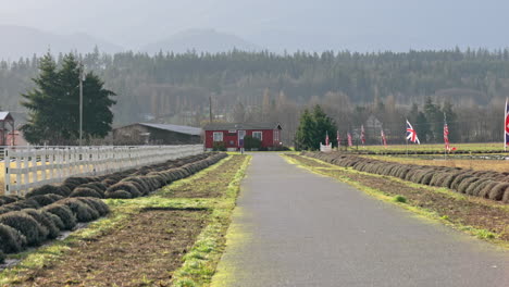 横跨道路的板块 边上有英国和美国的旗<unk>和白色围<unk>