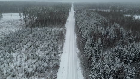 bird's eye view of a country road through snow-covered pine forests in winter